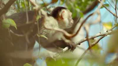 And get a much-needed drink, - The Secret Lives of Animals