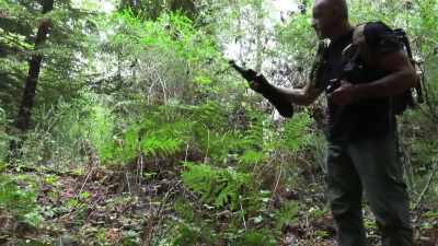 And get back
on these tracks, - Expedition Bigfoot