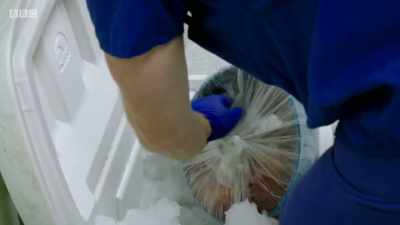 And we get the first sight.
And it might look really good, - Surgeons: At the Edge of Life