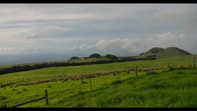 And he gets his sheep and his cattle
from this ranch - Somebody Feed Phil
