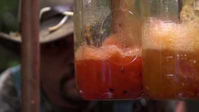   And my grandmother is the one - Moonshiners: Master Distiller
