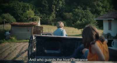 And who guards the hive's entrance - 20,000 Species of Bees