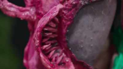 And hagfish has this line
of teeth that pops out when - The Boulet Brothers' Dragula: Titans