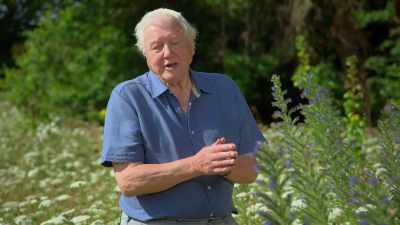 And, happily, we've got a camera
that enables us to do just that. - Attenborough's Life in Colour