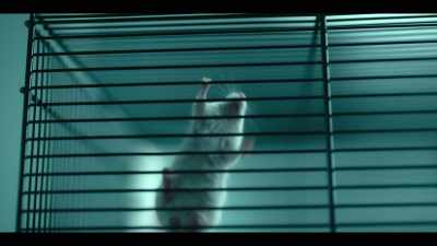 And this has been demonstrated
in study after study - Don't Die: The Man Who Wants to Live Forever