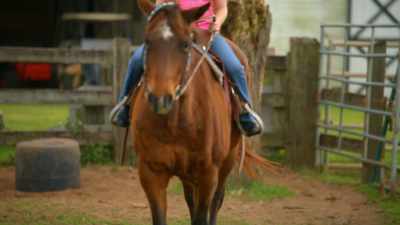 And you have got Dixie under control, - Love in Fairhope