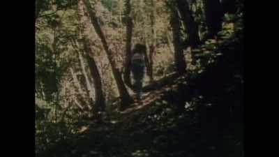 And we have to have security
set up all over the garden - Sasquatch