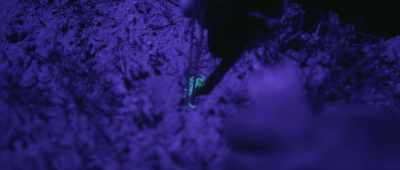 And they have just enough energy - Alien Worlds
