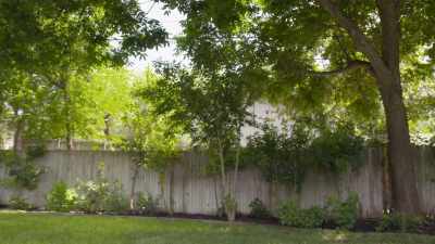 And have that nature part
with being inside, but-- - Why the Heck Did I Buy This House?