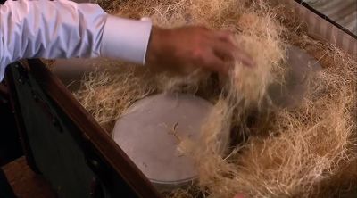 And we have... - Murdoch Mysteries
