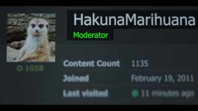 And you have the moderators,
the administrators who run the board. - Shiny_Flakes: The Teenage Drug Lord