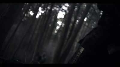 And he was still loyal
to Nobunaga's memory, - Age of Samurai: Battle for Japan
