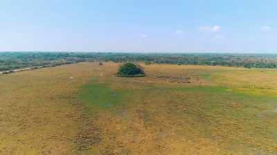 AND HE THINKS THAT THE FIRST
PEOPLE TO SETTLE HERE - Lost Cities of the Amazon