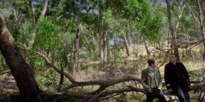 And she heard,
on the bush telegraph, - Picnic at Hanging Rock