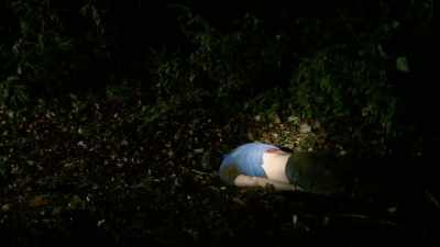 And here this body is covered in dirt, - The Killer Truth