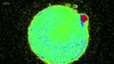 And here, cutting-edge imaging
technology shows a flash of light - The Human Body: Secrets of Your Life Revealed