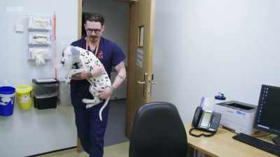 And here we go. Hey, cutie. - 24/7 Pet Hospital