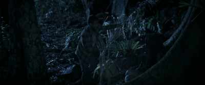 And here. I know it's not...
it's not much, - Jungle
