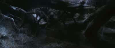 And Hermione had the mirror. - Harry Potter and the Chamber of Secrets