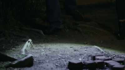 And he's one
that hans and sybil - The Holzer Files