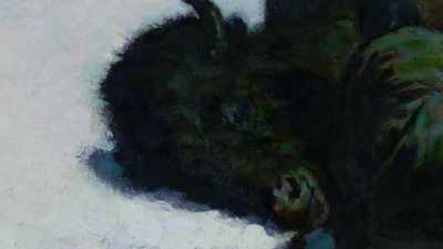 And he's pissed off because
they stole his specimen? - The American Buffalo
