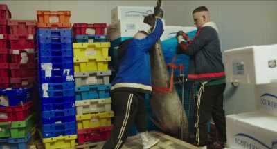And once he's standing, you hold him, and I'm going to pull this out. - The Young Offenders