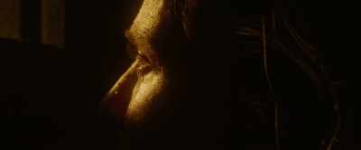 And holy palmers too?" - Box: Metaphor