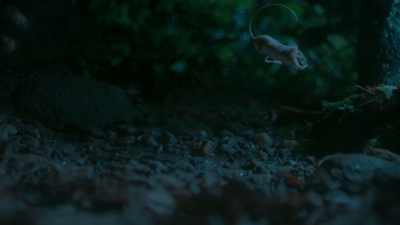 And hopefully onto safer feeding grounds. - Tiny World