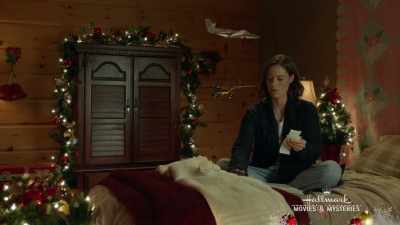 And house supplies, flooring. - Northern Lights of Christmas
