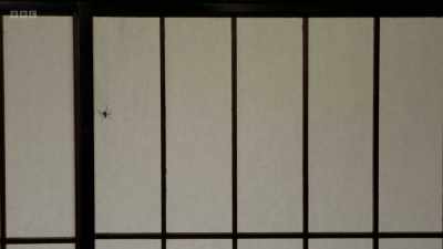 And houses like it have profoundly
influenced modern architecture - The Art of Japanese Life
