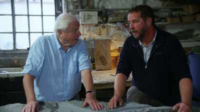 And how many new species
have been discovered - Attenborough and the Sea Dragon