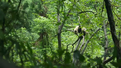 And how to scratch
those hard-to-reach places. - A Year on Planet Earth