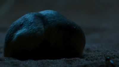 And that huge head makes it hard to brush them off. - Tiny World