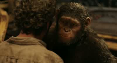 And human... - Dawn of the Planet of the Apes