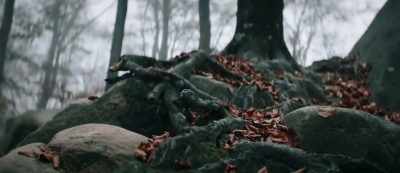 And I am to look for it where
the wingless make their nests. - The Stronghold