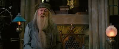 And I, and I alone, am responsible for its activities. - Harry Potter and the Order of the Phoenix