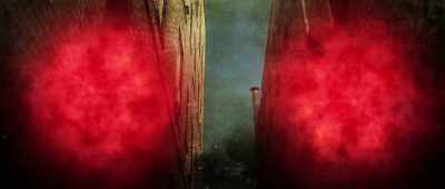And I asked her specifically,
you know, when this happened - The Mothman Legacy