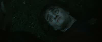 And I, being a merciful Lord... - Harry Potter and the Goblet of Fire