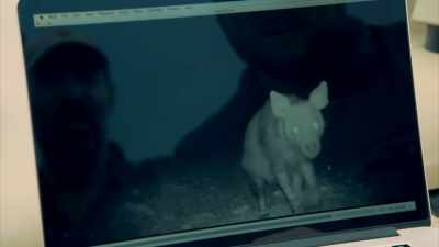 AND I BELIEVE THIS CREATURE
SOLVES THE MYSTERY. - Expedition Mungo