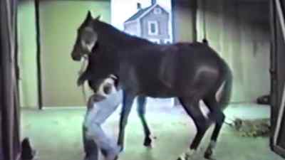 And I bought them horses,
and mini bikes, and chickens, - Sons of Ecstasy