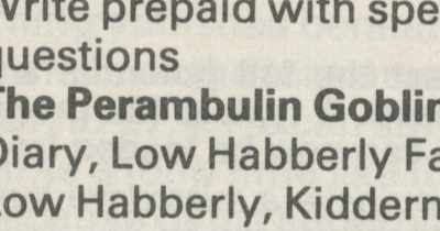 And I called myself the Perlin goblin - The Rubber-Keyed Wonder