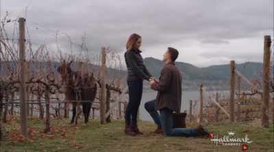 And I can see another llama - Valentine in the Vineyard