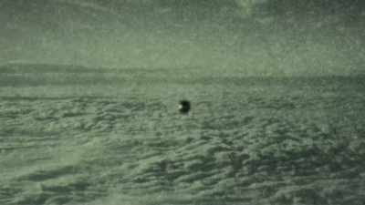 And I can't remember
exactly which day it was - The Interdimensional Connection