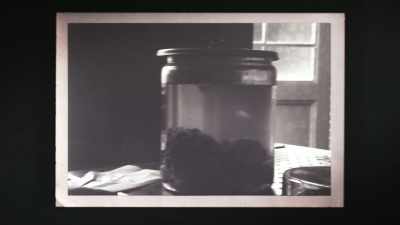 And before I could even
collect myself, he goes - The Man Who Stole Einstein's Brain