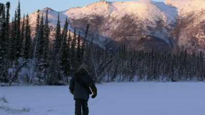 And if I don't have to cut
or kill a live tree, - Life Below Zero: Next Generation