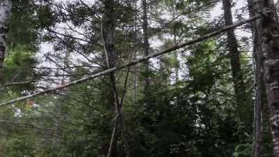 And I don't understand - Expedition Bigfoot