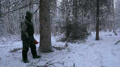 And I don't want
it to go that way, - Life Below Zero: Next Generation