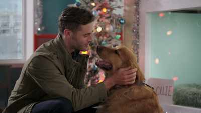 And I don't want to let you
down, you know. - Tails of Christmas