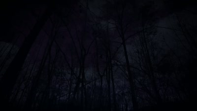 And I ended up
in the woods alone. - Beyond Skinwalker Ranch