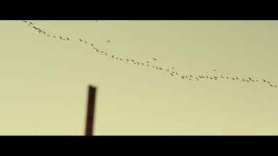 And I feel like
I'm just flying through the sky, - The Surgeon's Cut